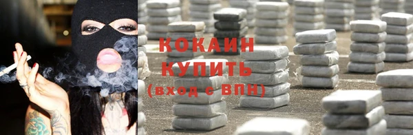 PSILOCYBIN Ладушкин