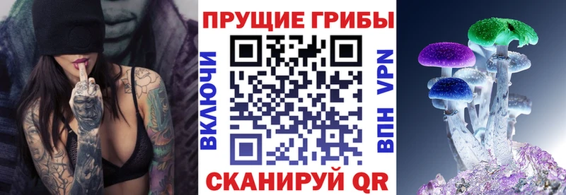 MEGA как войти  Сызрань  Псилоцибиновые грибы мицелий 
